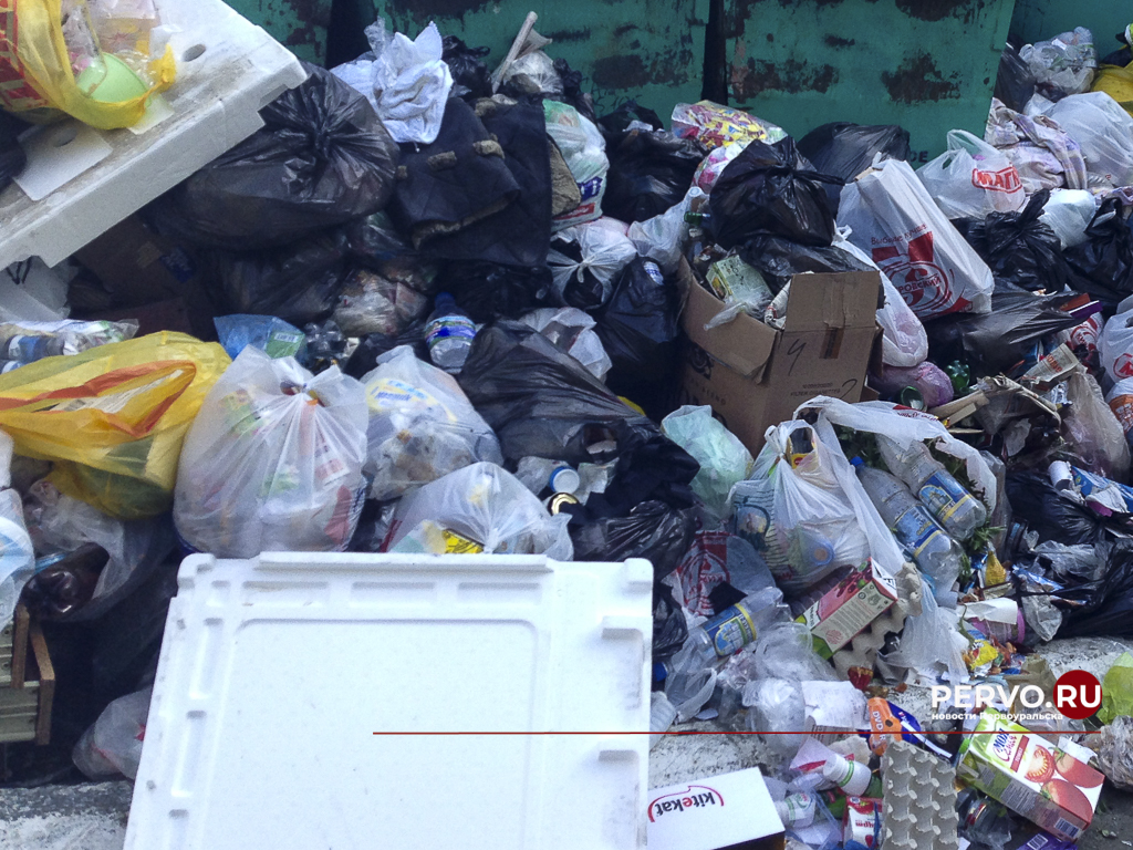 Несанкционированную свалку должны ликвидировать до конца ноября