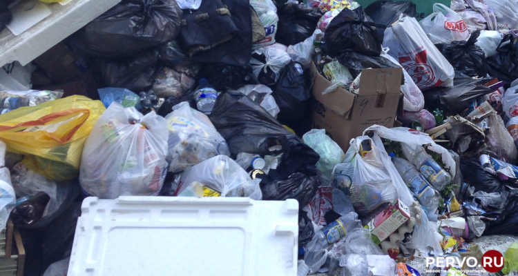 Несанкционированную свалку должны ликвидировать до конца ноября