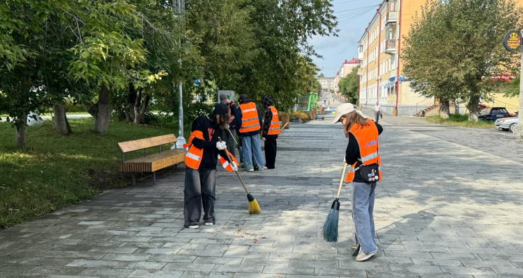 Аллея на проспекте Ильича подверглась нашествию вандалов