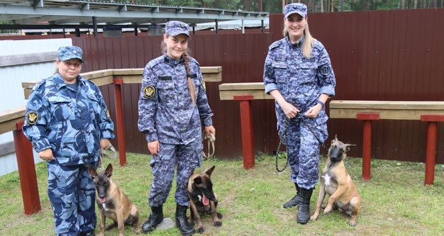 Пять щенков из племпитомника ГУФСИН отправились служить в Архангельск