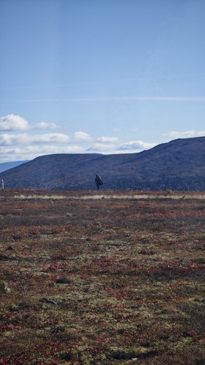 Путешественница Оксана Лыткина в одиночку за 120 дней прошла 2,3 тысячи километров
