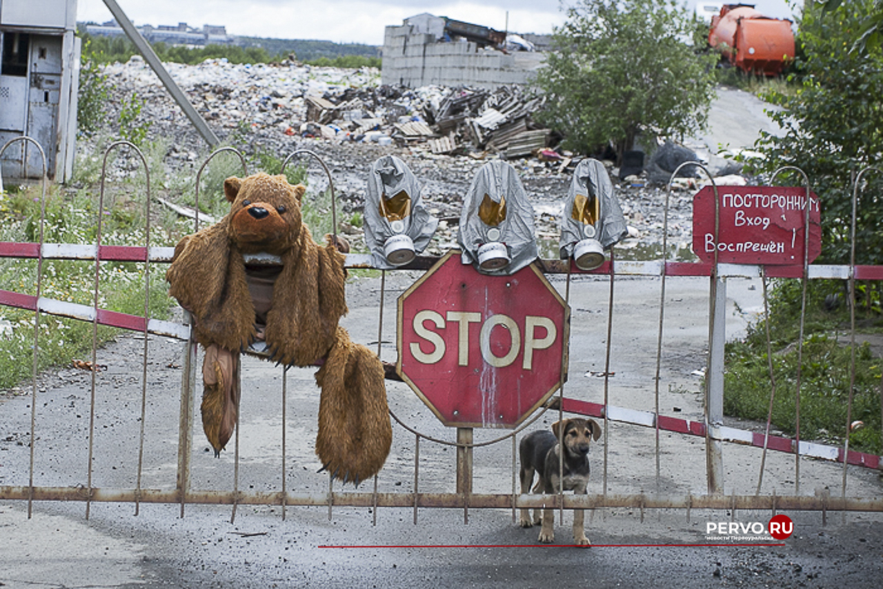 Мусорный полигон под Ревдой могут забрать у владельца