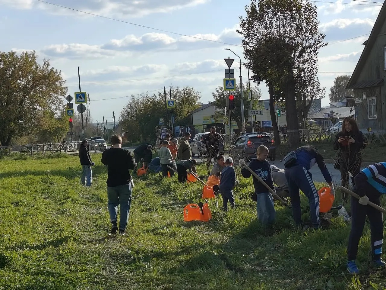 На улице Трубников — новые пирамидальные тополя