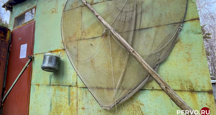 В деревне Флюс под снос пойдут незаконные постройки