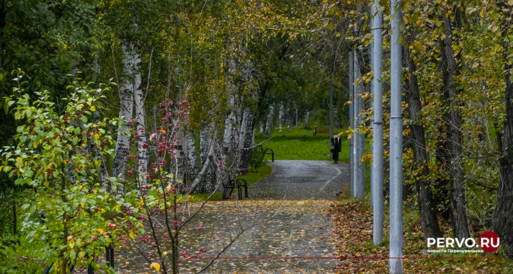 Дожди пройдут после снегопадов