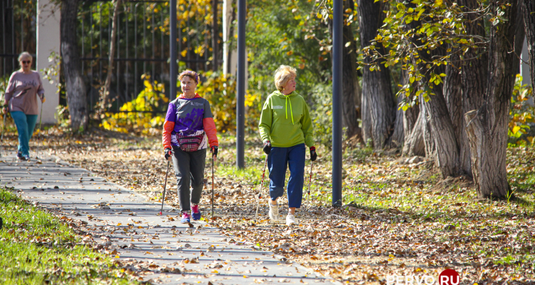 Бабье лето в Первоуральске подходит к концу