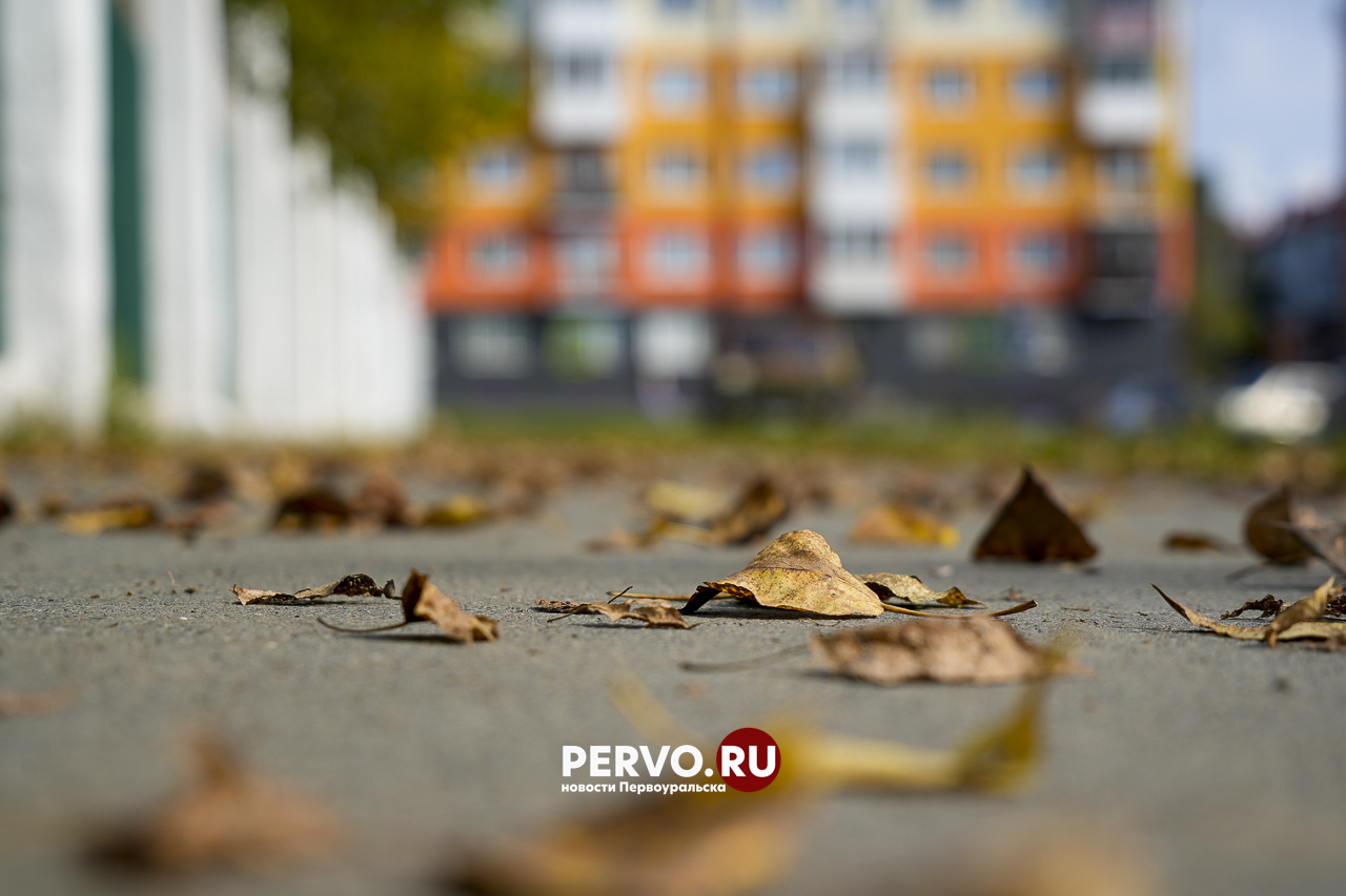 До +11 потеплеет в Первоуральске в конце октября