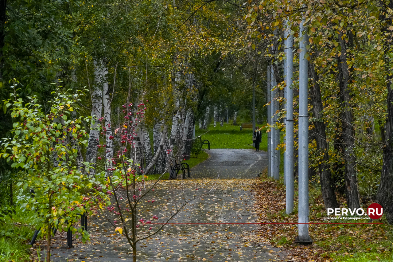 Циклон Gerhard принесёт осадки и потепление
