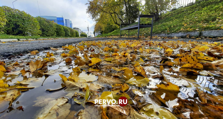 Температура в Первоуральске поднимется до +14 градусов