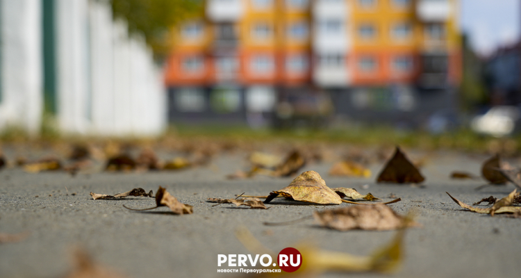 До +11 потеплеет в Первоуральске в конце октября