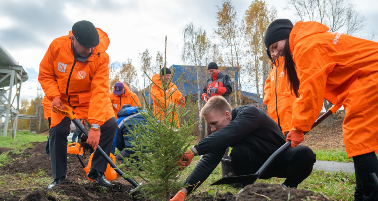 СТЗ озеленяет регион в рамках акции «Зеленая инициатива ТМК»