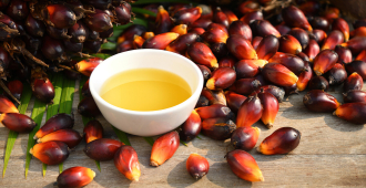 В России могут ограничить использование пальмового масла