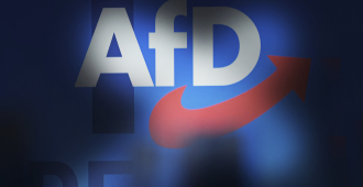 Партия «Альтернатива для Германии» установила исторический рекорд в опросах