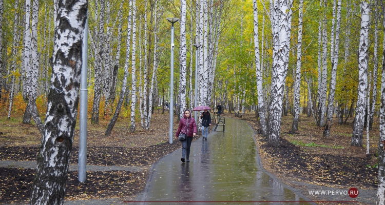 Тёплая погода продержится до конца недели