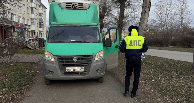 Водитель «Газели» сбил пенсионерку при движении задним ходом