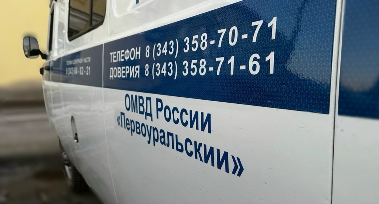 Полицейские задержали двух воришек, которым вменяют ч. 3 ст. 158 УК РФ