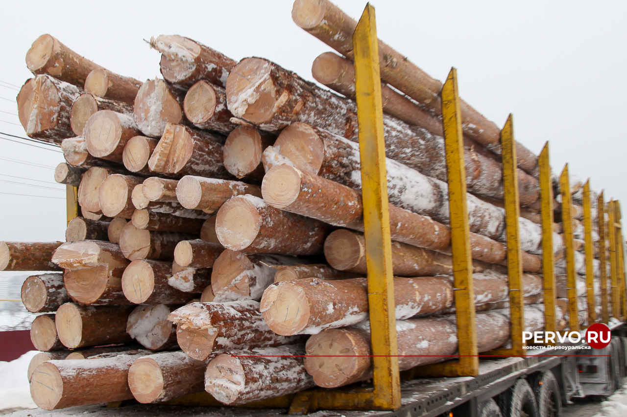 За незаконную свалку отходов древесины оштрафован директор ООО «Первоуральский»