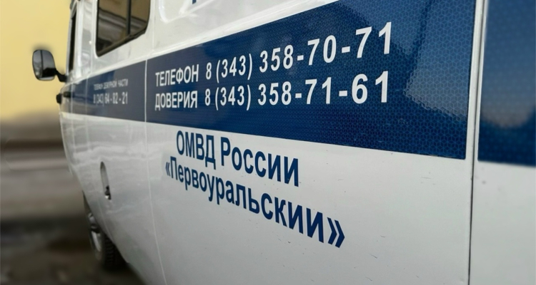 Полицейские задержали двух воришек, которым вменяют ч. 3 ст. 158 УК РФ