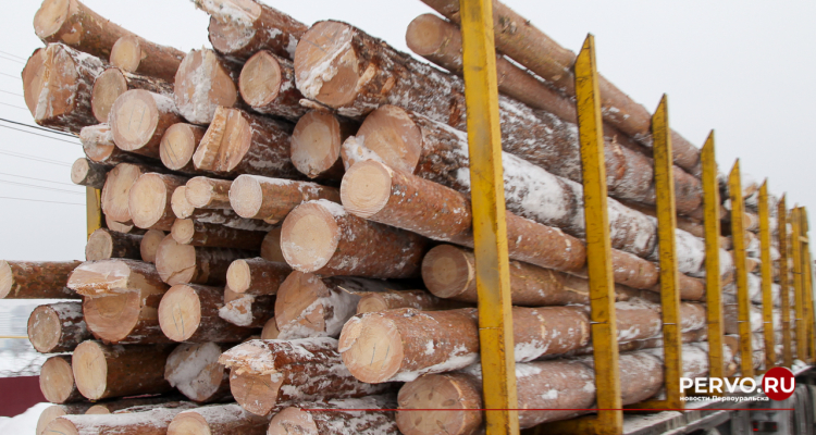 За незаконную свалку отходов древесины оштрафован директор ООО «Первоуральский»