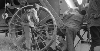 Мать нового мэра Нью‑Йорка Мамдани Миру Наир назвали любительницей Тарковского