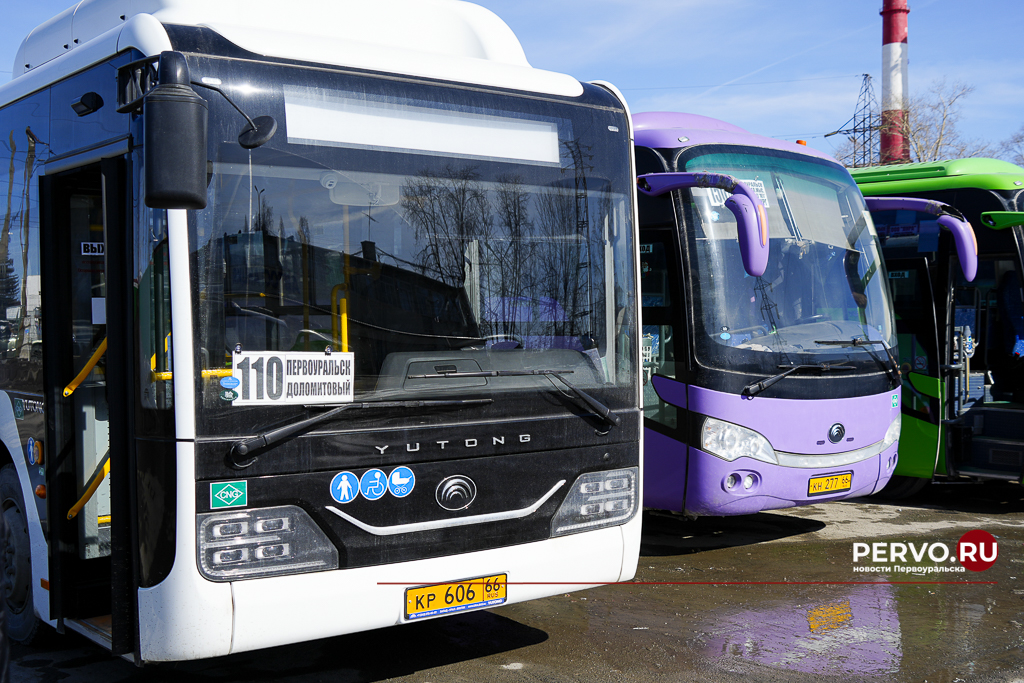 Информация о порядке предоставления льготного проезда