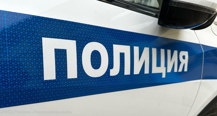 Мошенники оставили первоуральца без крыльев и капота