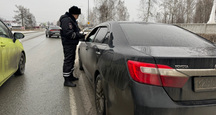 Сотрудники ГИБДД проведут рейд по пьяным водителям и тонировке