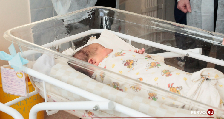 Названы самые популярные имена новорождённых в 2025 году