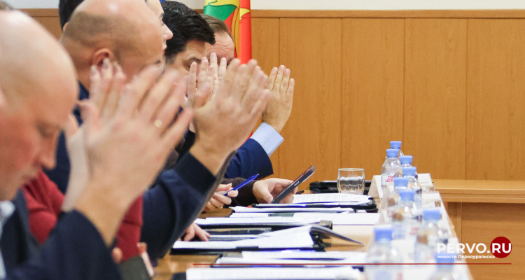 В городской Думе состоялось заседание комитетов