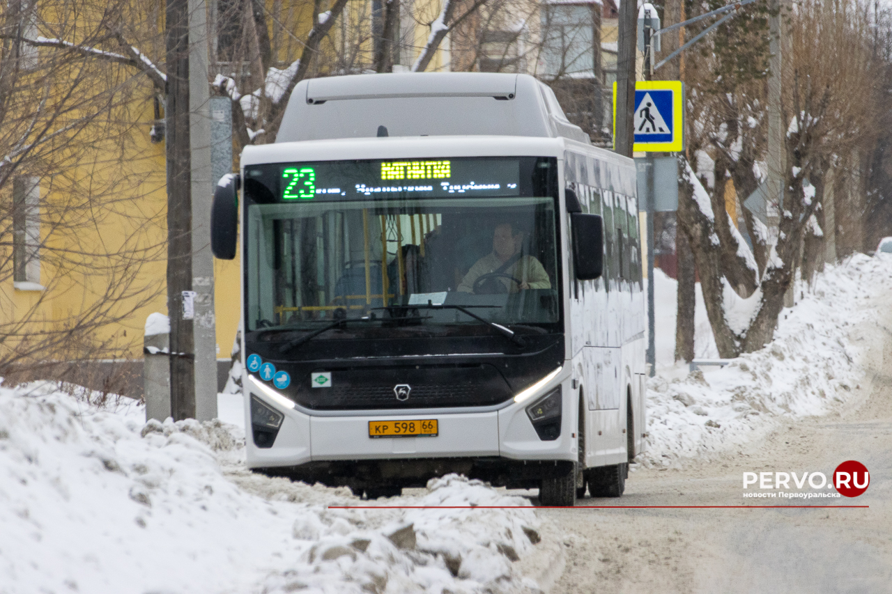 В городе полиция проводит массовую проверку автобусов