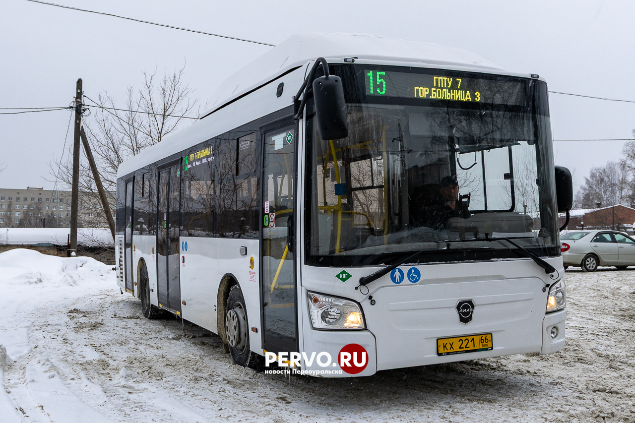 Новые низкопольные автобусы вышли на линию