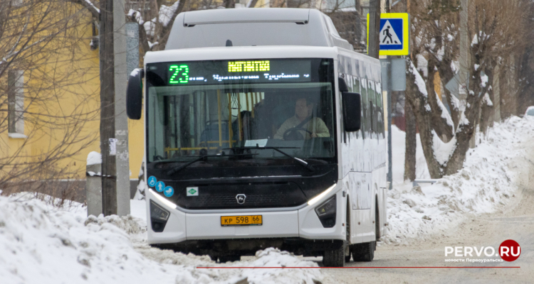 В городе полиция проводит массовую проверку автобусов