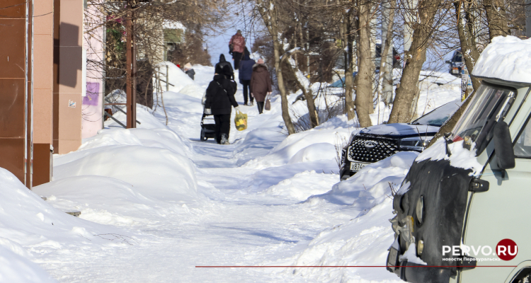 До конца недели сохранится зимняя погода с умеренным морозом
