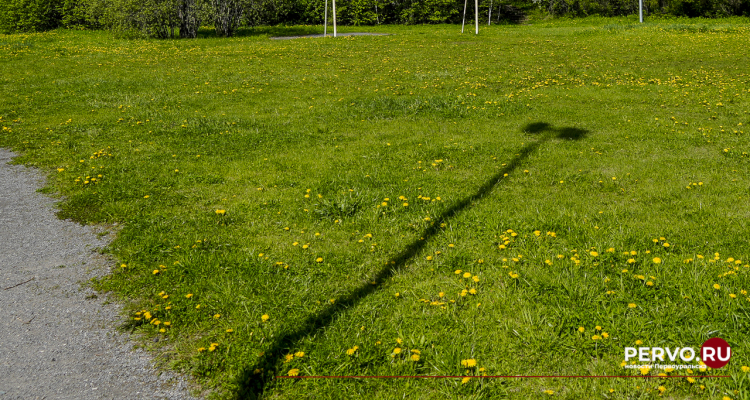 На территории школы № 29 появится спортивная площадка