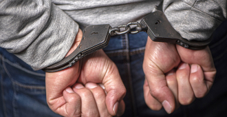 Назван самый распространенный вид преступлений в России