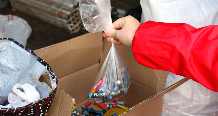 Утилизация‑2026: сдаём мусор с пользой для города и животных!