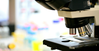 Российский школьник случайно совершил научное открытие