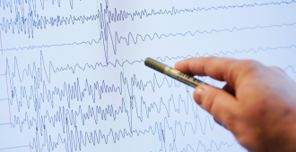 Разрушений и пострадавших в Новороссийске после землетрясения нет