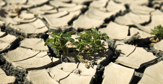Ученые предсказали наступление адского климата на Земле