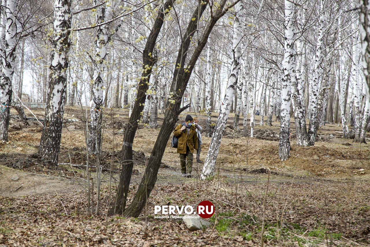 Популяция клещей может увеличиться из-за снежной зимы