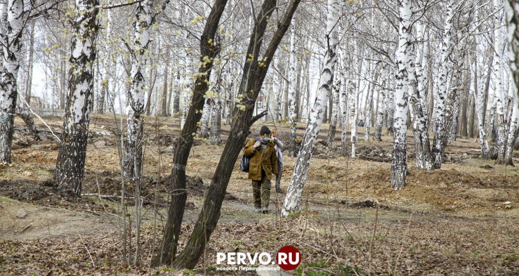 Популяция клещей может увеличиться из-за снежной зимы