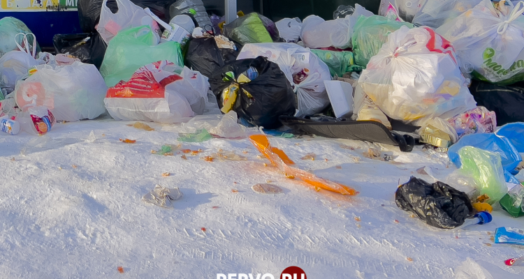 В частном секторе возвращается график помешкового сбора мусора от каждого дома