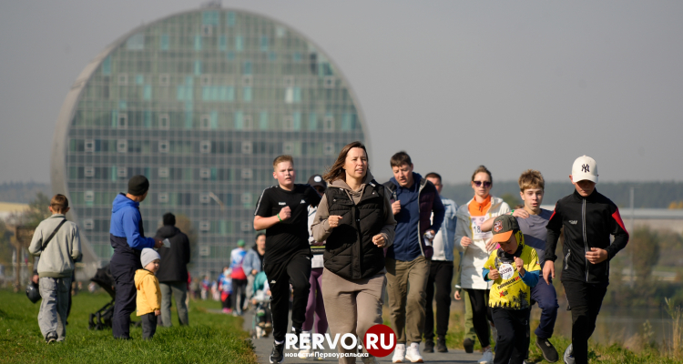 Число жителей, ведущих здоровый образ жизни, за год увеличилось в 1,7 раза