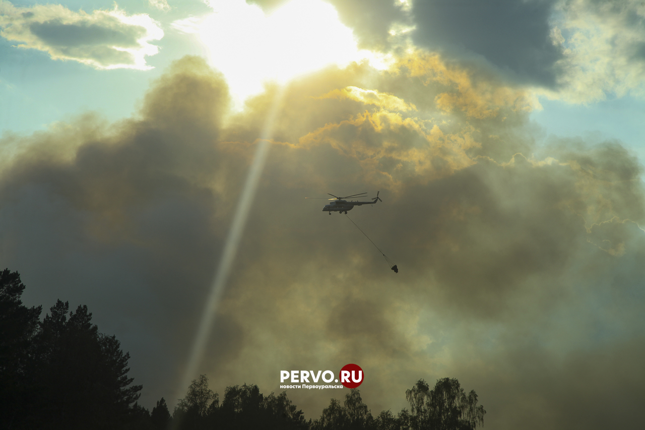 Первоуральцам запретили ходить в лес. Список запретов и штрафов