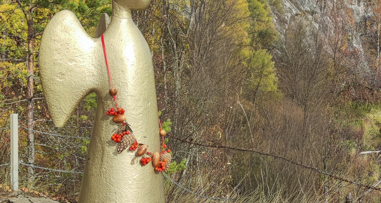 В парке «Оленьи ручьи» закрыли маршруты из-за клещей и паводка