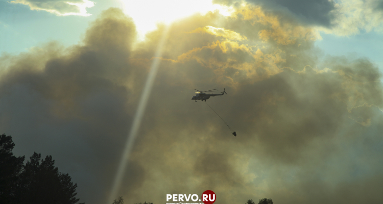 Первоуральцам запретили ходить в лес. Список запретов и штрафов