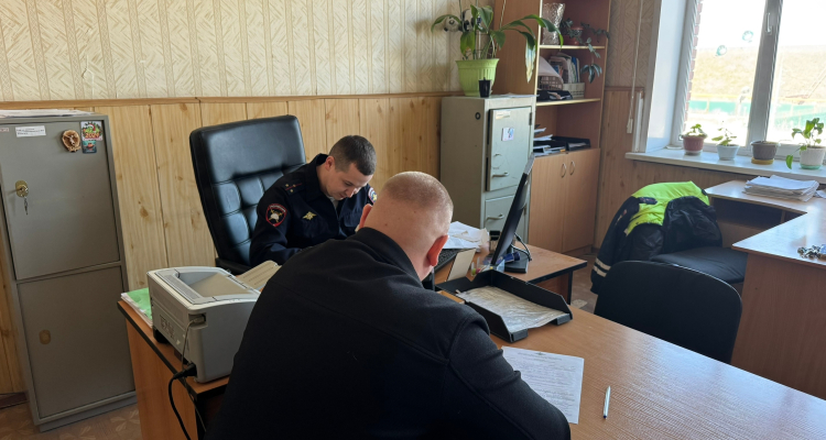 В соцсетях «нашли» виновного в парковке на аллее