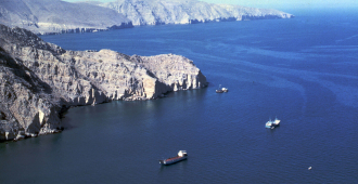 «Мы потеряли ключи»: Иран высмеял требование Трампа открыть Ормузский пролив