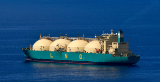 Индия впервые за год закупила российский газ