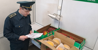 В столицу Урала привезли первую партию арбузов и дынь из Китая